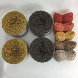 Graphic Kit - Warm Brown, Old Gold & shadebag 08