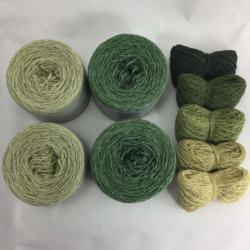 Graphic Kit - Meadow, Lemongrass & shadebag 10