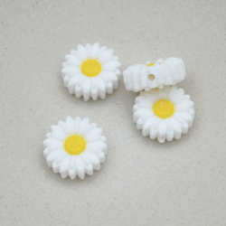 White Daisy