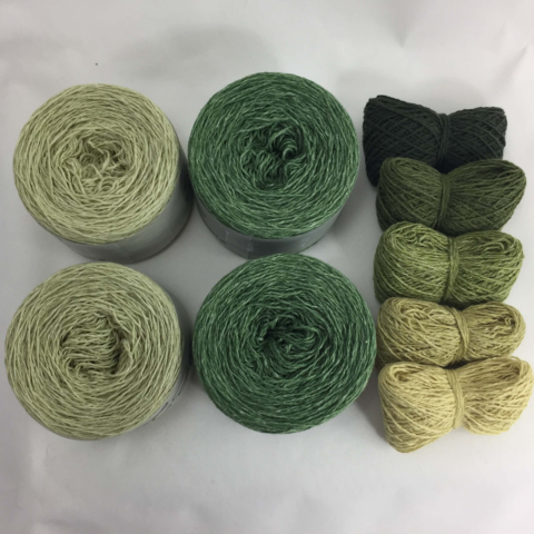 Graphic Kit - Meadow, Lemongrass & shadebag 10